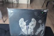 Coldplay - Ghost Stories (LP, Album, 180) Vinyl