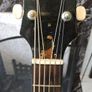 1978 epiphone Nova 180 acoustic guitar made in japan Image 4
