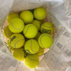 Bag of Tennis Balls