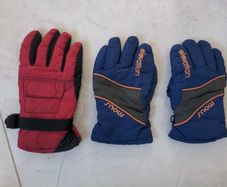 Ski gloves