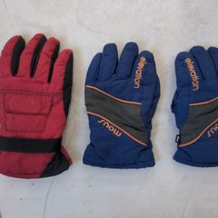Ski gloves