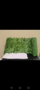 Garden design 50 cm width by 300 cm length