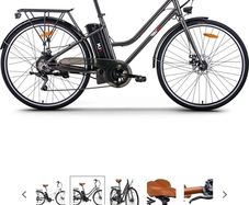 Electric bike