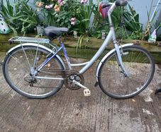 Raleigh Woman's bike