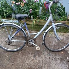 Raleigh Woman's bike