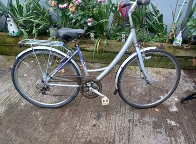 Raleigh Woman's bike