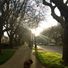 finido