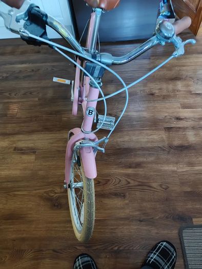 Bobbin Gingersnap 20 Inch Kids Bike Blossom Pink