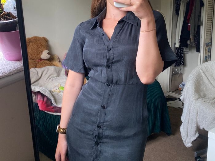 Zara dress