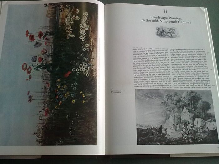 The Painters of Ireland c.1660-1920 Irish History Art