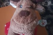 Reindeer Blanket