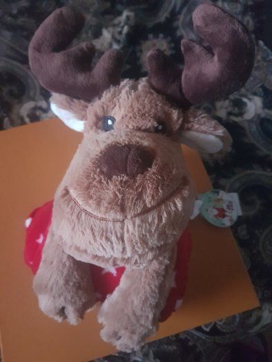 Reindeer Blanket