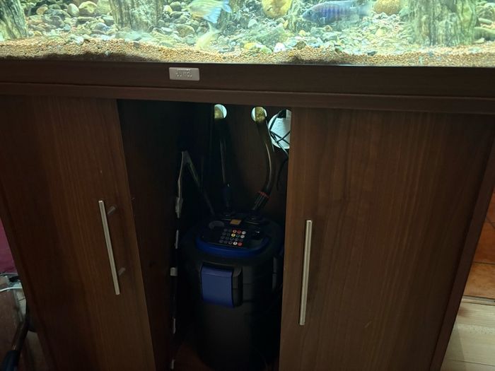 aquarium