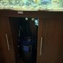 aquarium Image 4