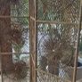 Mid Century Room Divider Screen Rohe Noordwolde Image 6