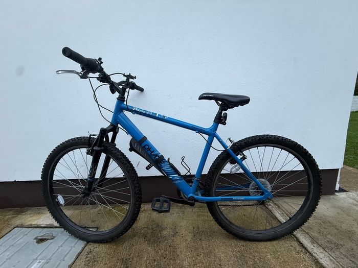 Adult Bike