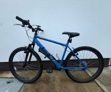 Adult Bike