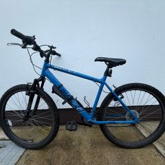 Adult Bike