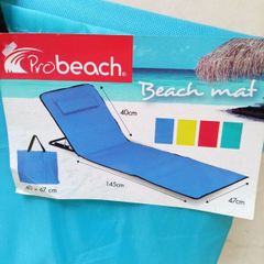 Beach Mats (2)