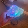 Clam glitter pearl led colour changing lamp Image 8