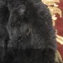 Real Fur Vest, size-12 Image 6