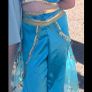 Jazmine costume Image 2