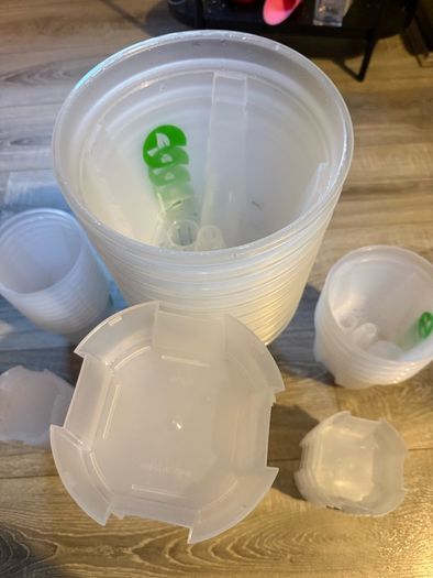 Clear Self-Watering Plant Pots