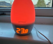 Gro Egg