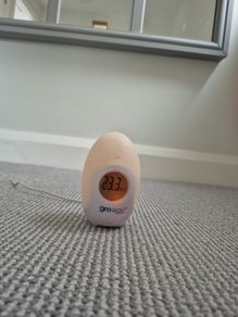 Gro Egg