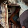 free baby toys Image 3