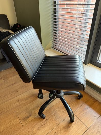 Professional Artist Chair