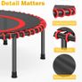 Rebounder / Trampette Image 5