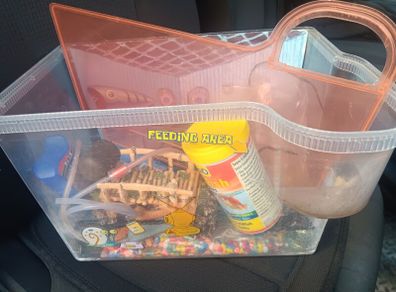 fish tank