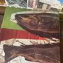 Pavement - Westing (By Musket And Sextant) (First Press) Image 6