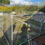 Dog enclosure Image 2
