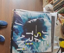 Joe Satriani double vinyl.