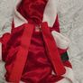 Dog Santa Coat Image 3