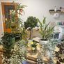 Collection of fake plants and pots Image 2