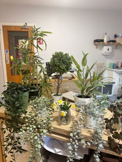 Collection of fake plants and pots