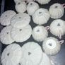 First period Belleek teaset 19pieces rare 1863-1891 Image 2