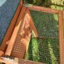 rabbit house Image 6