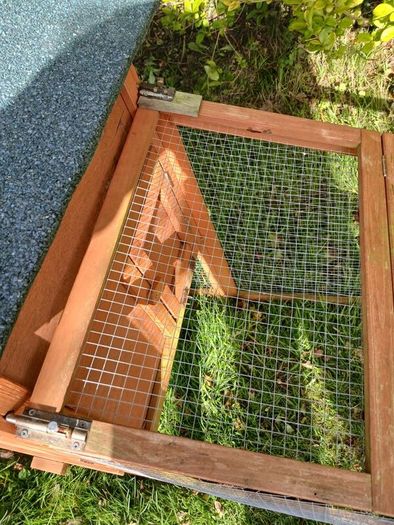 rabbit house