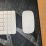 Apple Magic Mouse 2024 Image 2