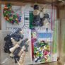 Family 12 Game Centre Image 2