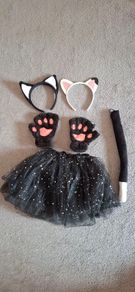 Cat costume accessories