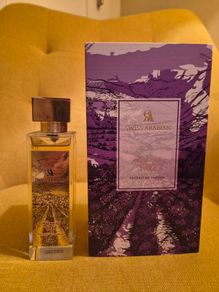 Swiss Arabian Enigma of Taif