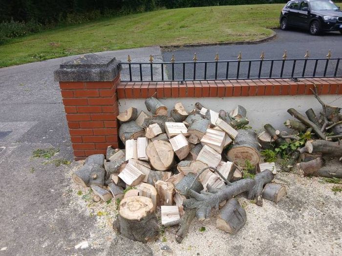 Beech fire wood