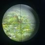 scope Image 4
