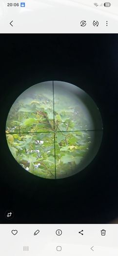 scope