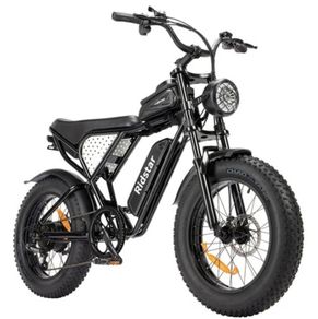 Ridstar Q20 Mini Electric Bike